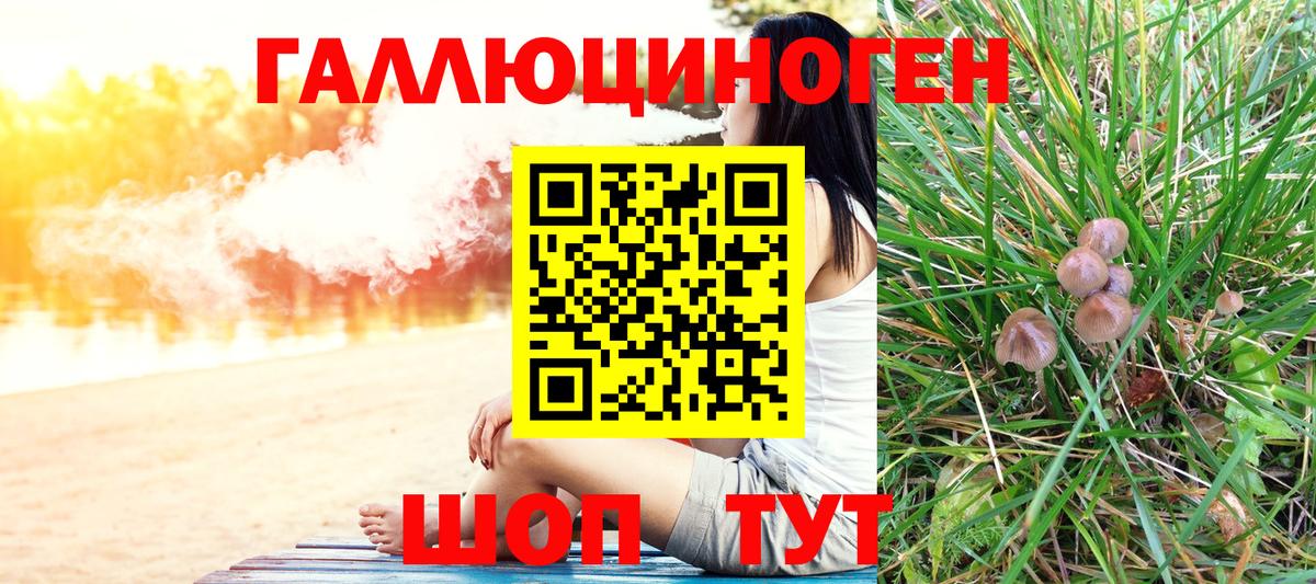 Галлюциногенные грибы мицелий  Вход с VPN  Качканар  Галлюциногенные грибы прущие грибы 